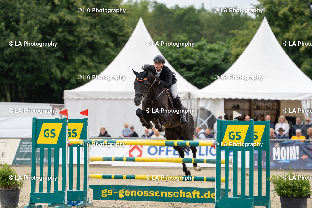 DSC08261 | Entdecke einzigartige Turnierfotos und persönliche Pferde- und Hundeportraits bei LA Photography. Für jeden Reiter und Pferd das perfekte Bild! Stöbere jetzt! - Realisiert mit Pictrs.com