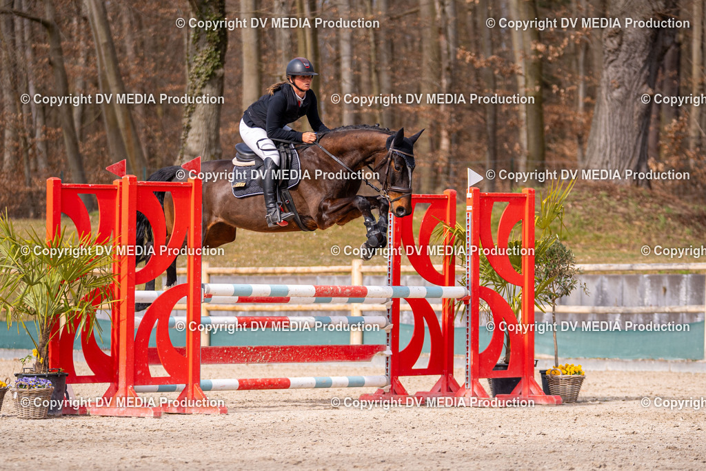 Kranichstein Tag 1-823 | dv-media-shop - Realisiert mit Pictrs.com