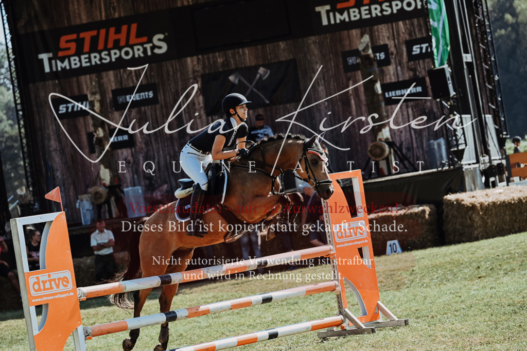 DSC_6038 | Pferde- und Turnierfotografie in Westsachsen. Pferdeportraits, Auftragszeichnungen und intuitive Kunst.