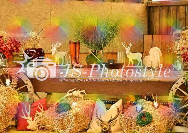 2025_Schleppjagd-30J-AH-Impres-8 | JS-Photostyle - Sport-/Portrait- & Eventfotografie