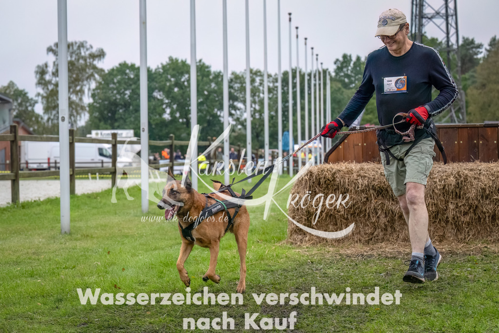 1204--10 | kk-dogfotos