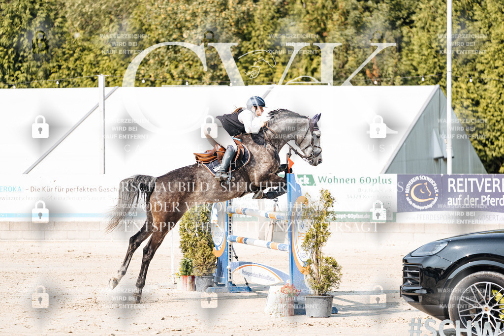 CK902419 | Turnierfotografie Pferdefotografie Trier Rheinland-Pfalz Pferdesport Reitsport Tierfotografie Sportfotografie Pferdevideo Pferdevideografie Equestrianvideography equestrianphotography  - Realisiert mit Pictrs.com