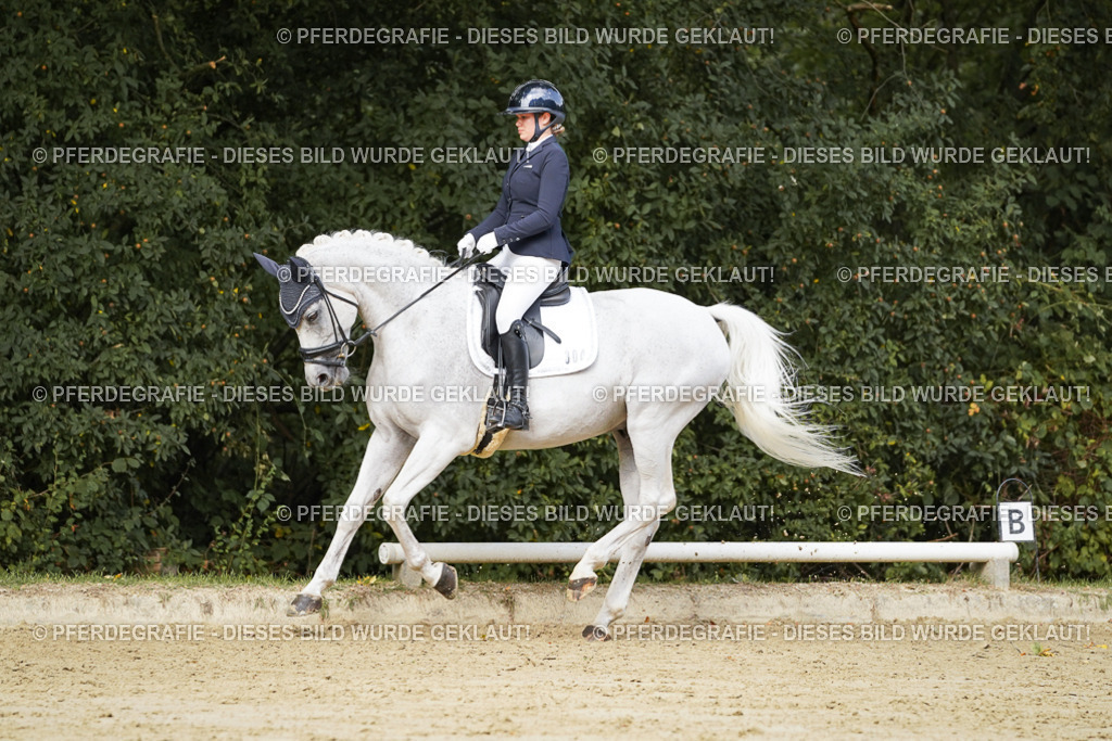 DSC02796 | Pferdegrafie