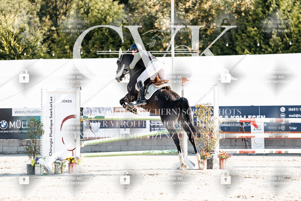 CK901659 | Turnierfotografie Pferdefotografie Trier Rheinland-Pfalz Pferdesport Reitsport Tierfotografie Sportfotografie Pferdevideo Pferdevideografie Equestrianvideography equestrianphotography  - Realisiert mit Pictrs.com