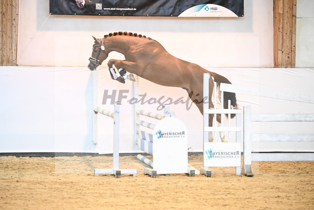 Kat-Nr. 25 v. Baggio_Heiterreiter GmbH_6240478 | hf-fotografie - Realizzato con Pictrs.com