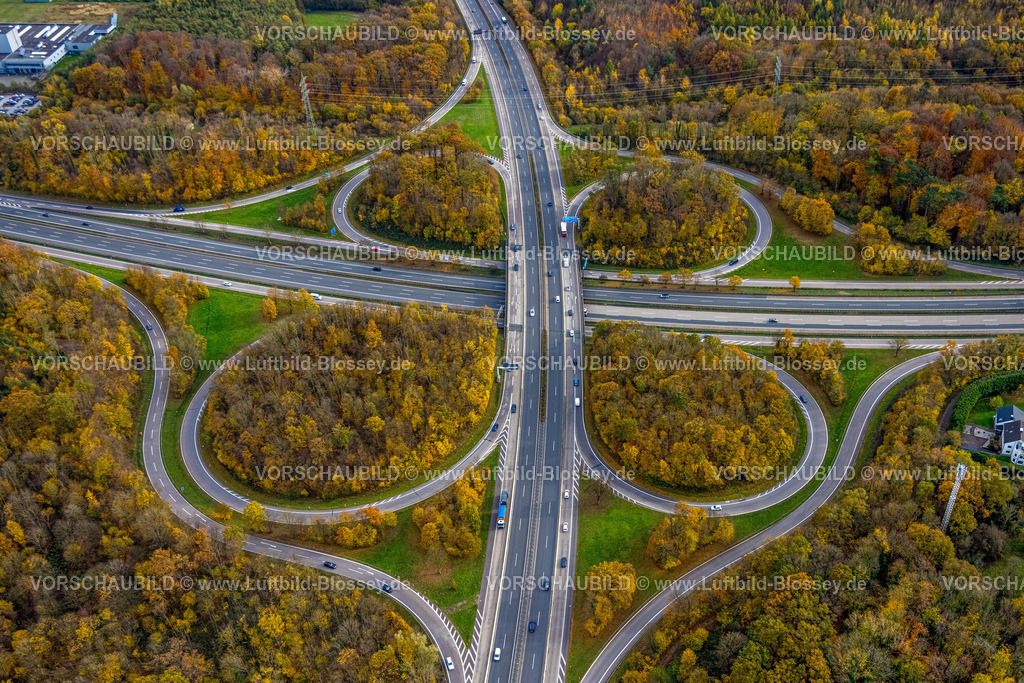 Hagen251101600 | Luftbild, Autobahnkreuz Hagen, Autobahn A45 und Autobahn A46 mit Autobahnbrücke, Bäume in Herbstfarben, Lennetal, Hagen, Ruhrgebiet, Nordrhein-Westfalen, Deutschland