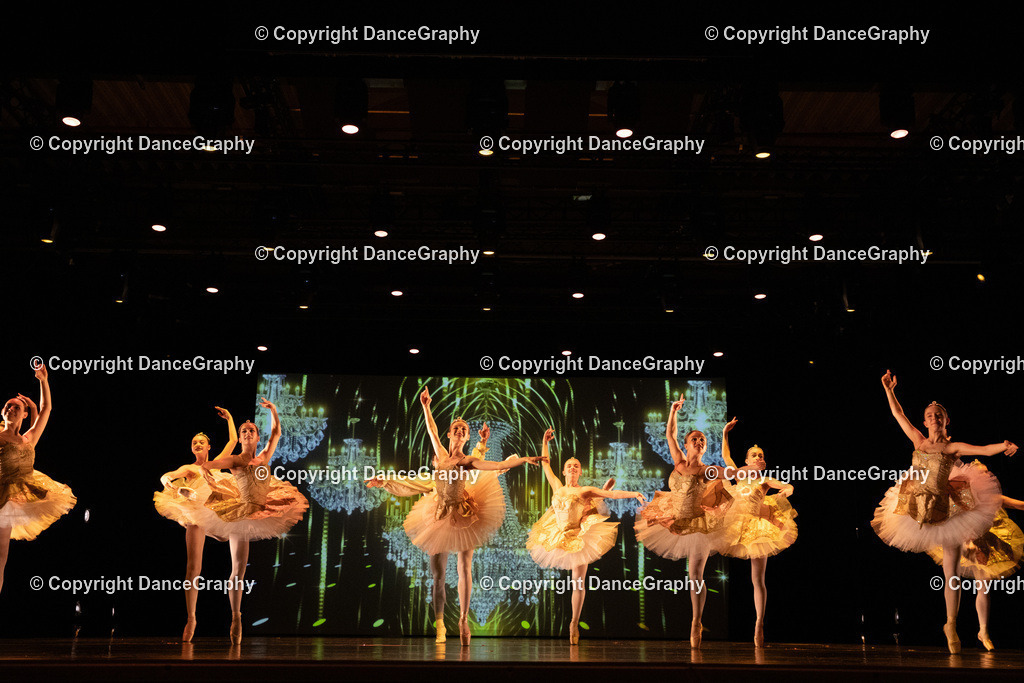 GPHY6478 | DanceGraphy - Realisiert mit Pictrs.com