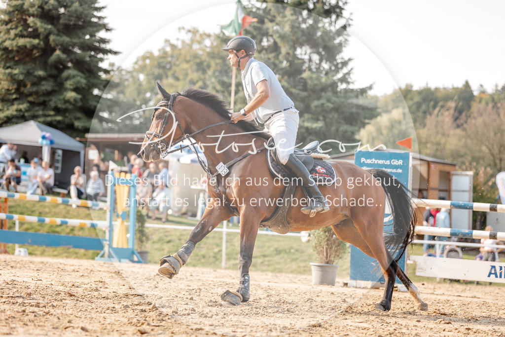 3I6A5243 | Stimmungsvolle Portraits und Reitsportfotografie im Ruhrgebiet und im Münsterland.

Pferdefotografie, Hundefotografie, Tierfotografie, Reportagen, Portraits von Tier und Mensch, Turnierfotografie in Bochum, Recklinghausen, Marl, Haltern am See, Dülmen.. - Realisiert mit Pictrs.com
