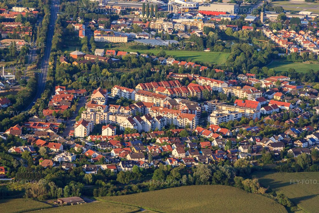 Luftbild: Ortsteil Vogelgesang in Speyer im Bundesland Rheinland-Pfalz in Deutschland. Foto: IMG_51546.jpg vom 08.08.2012 durch Werner Riehm/FLY-FOTO.de