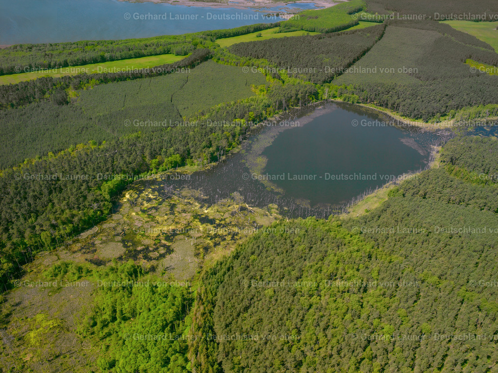 2415302 | Moorsee, Müritz