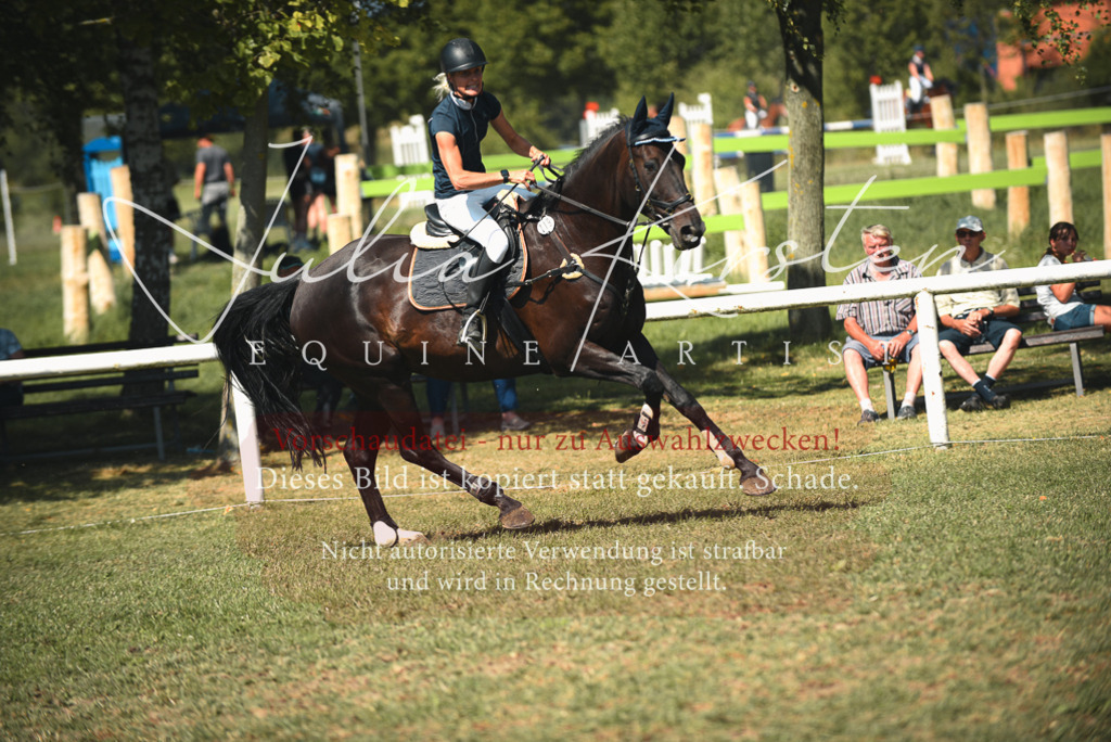 DSC_6922 | Pferde- und Turnierfotografie in Westsachsen. Pferdeportraits, Auftragszeichnungen und intuitive Kunst.
