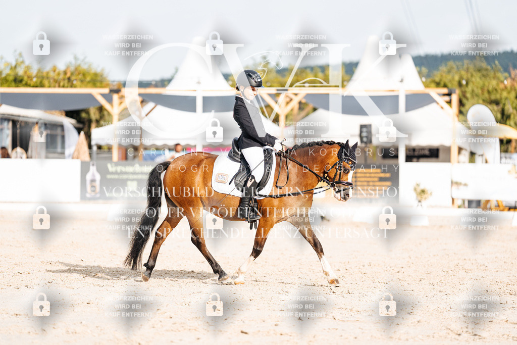 CK904212 | Turnierfotografie Pferdefotografie Trier Rheinland-Pfalz Pferdesport Reitsport Tierfotografie Sportfotografie Pferdevideo Pferdevideografie Equestrianvideography equestrianphotography  - Realisiert mit Pictrs.com