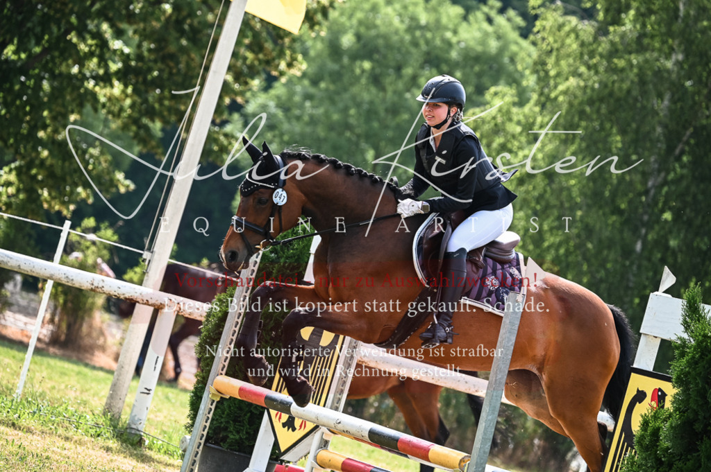 DSC_8421 | Pferde- und Turnierfotografie in Westsachsen. Pferdeportraits, Auftragszeichnungen und intuitive Kunst.