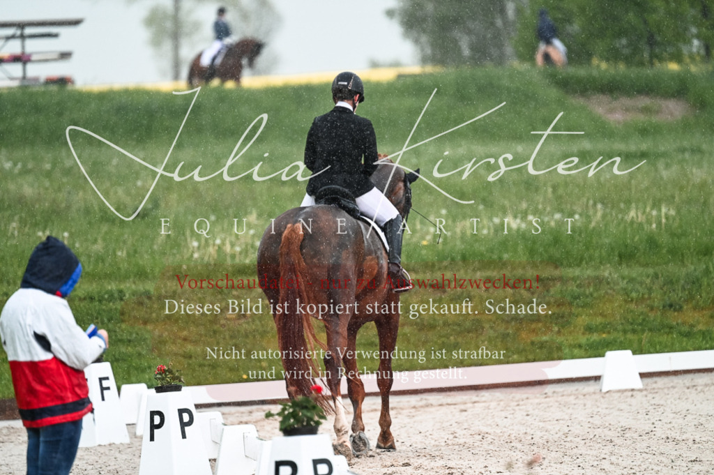 DSC_4090 | Pferde- und Turnierfotografie in Westsachsen. Pferdeportraits, Auftragszeichnungen und intuitive Kunst.