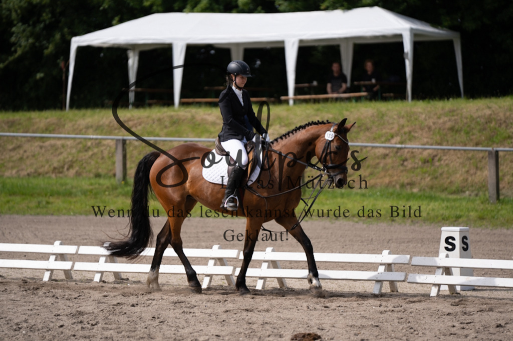 A7V02590 | Pferdefotograf