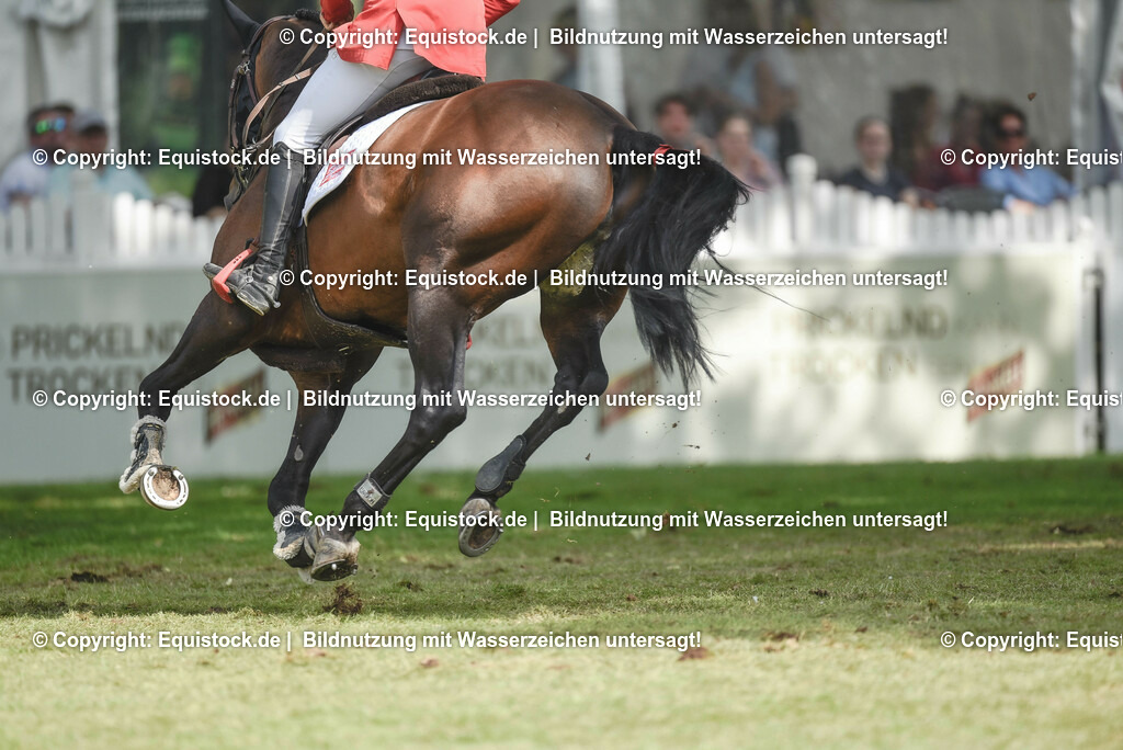 20230529_20_CSI4_Großer-Preis_0296 | equistock