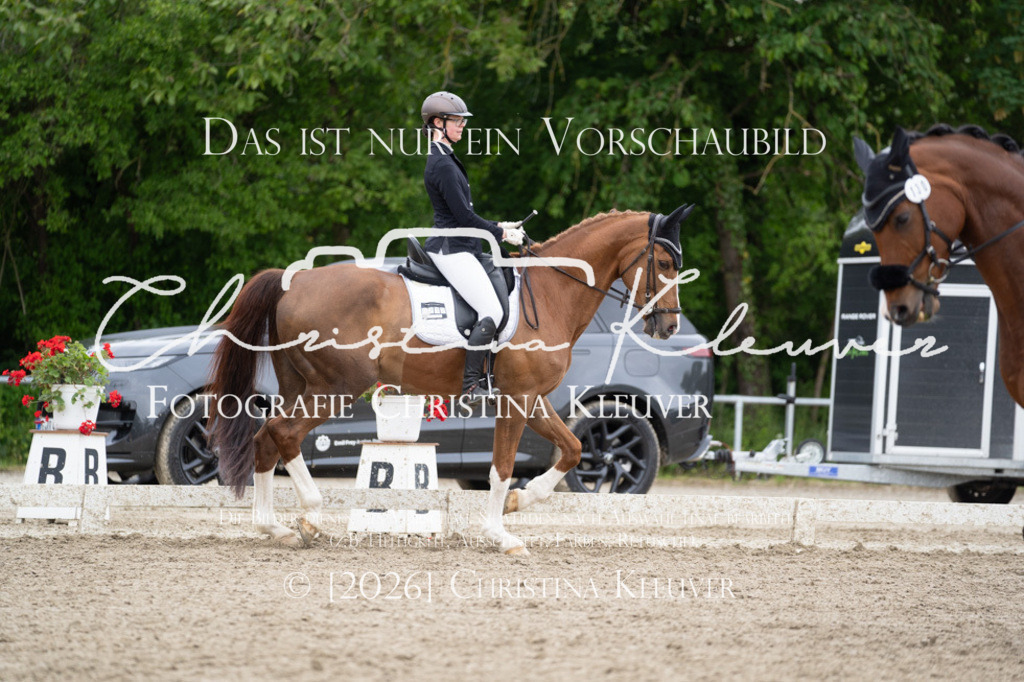 DSC09411 | Christina-Kleuver