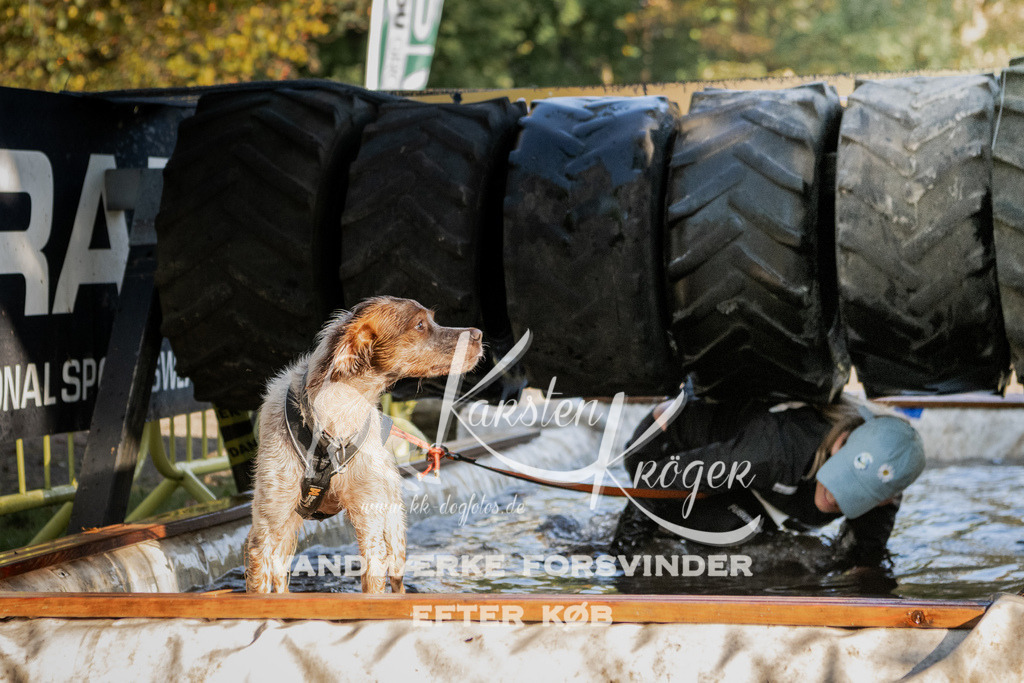 0951_ZZ92038 | kk-dogfotos