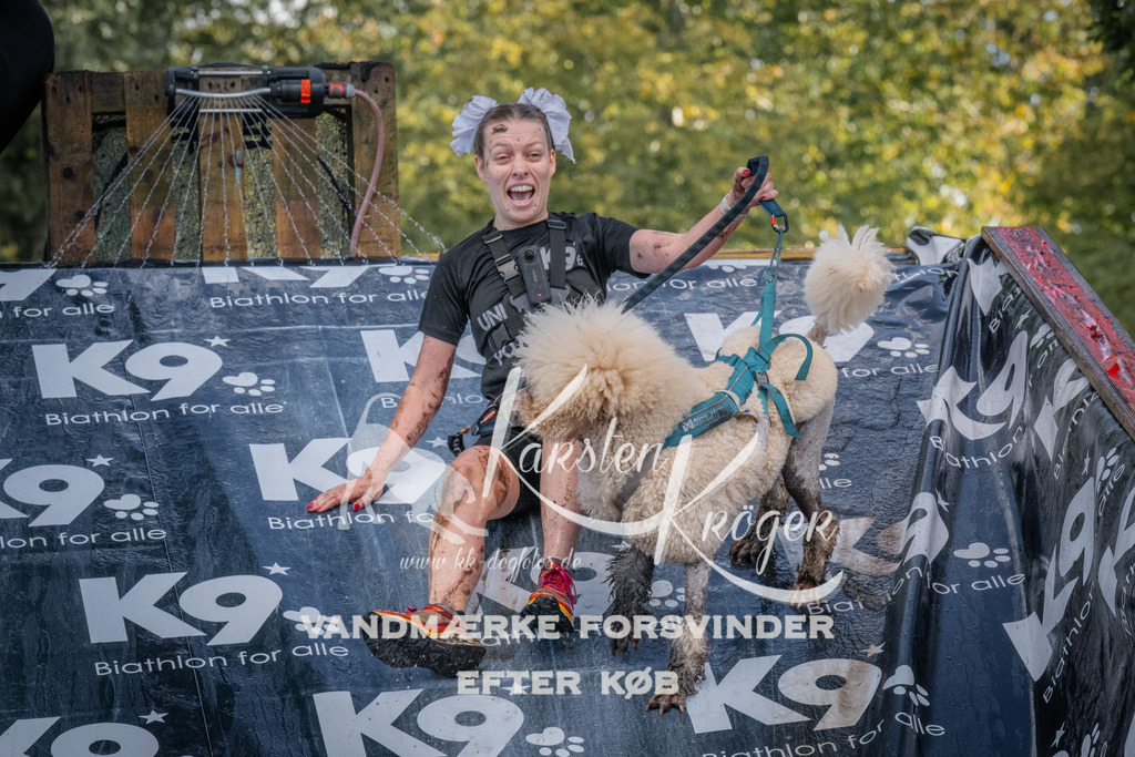 1555_ZZ91326 | kk-dogfotos