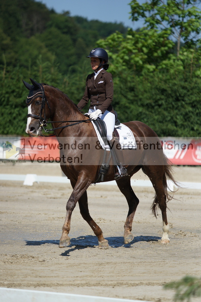 DSC03099 | equestrian-live-com
