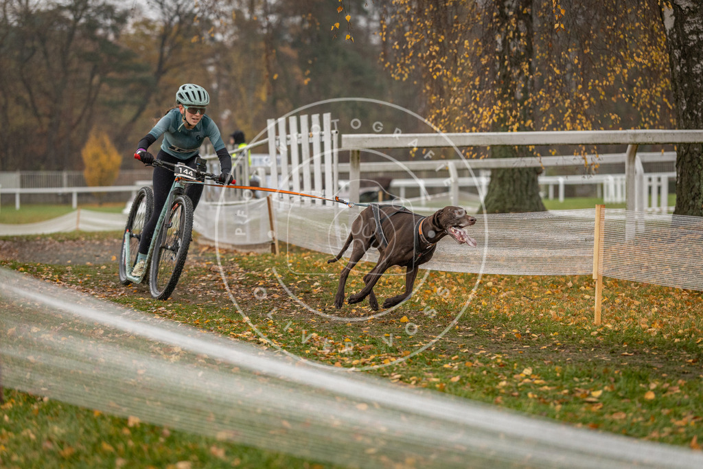 CaniXpix_DV3A7983 | Hundefotografie, Tierfotograf, Pfotenfotografie, Fotoshooting Hund, Hunde Portrait, Hundesport, Hundeportraits, Heideshooting, Hunde, Sportfotograf, Hundefotograf, Turnierhundsport, THS,  - Realisiert mit Pictrs.com