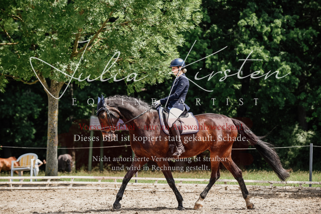 DSC_1466 | Pferde- und Turnierfotografie in Westsachsen. Pferdeportraits, Auftragszeichnungen und intuitive Kunst.