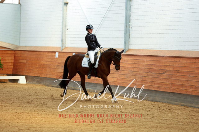 _62_5169 | Turniersportfotografie; Pferdefotografie; Dressurfotografie