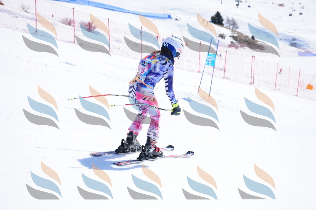 DSC_4914 | holidayphoto