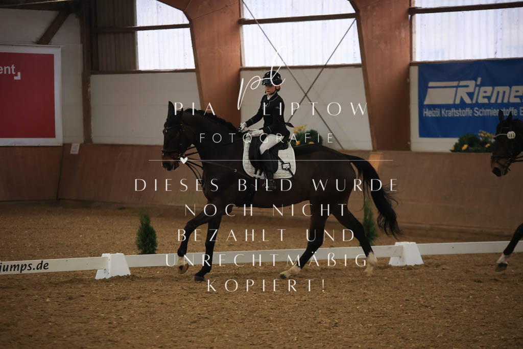 IMGT0871 | pl-fotografie