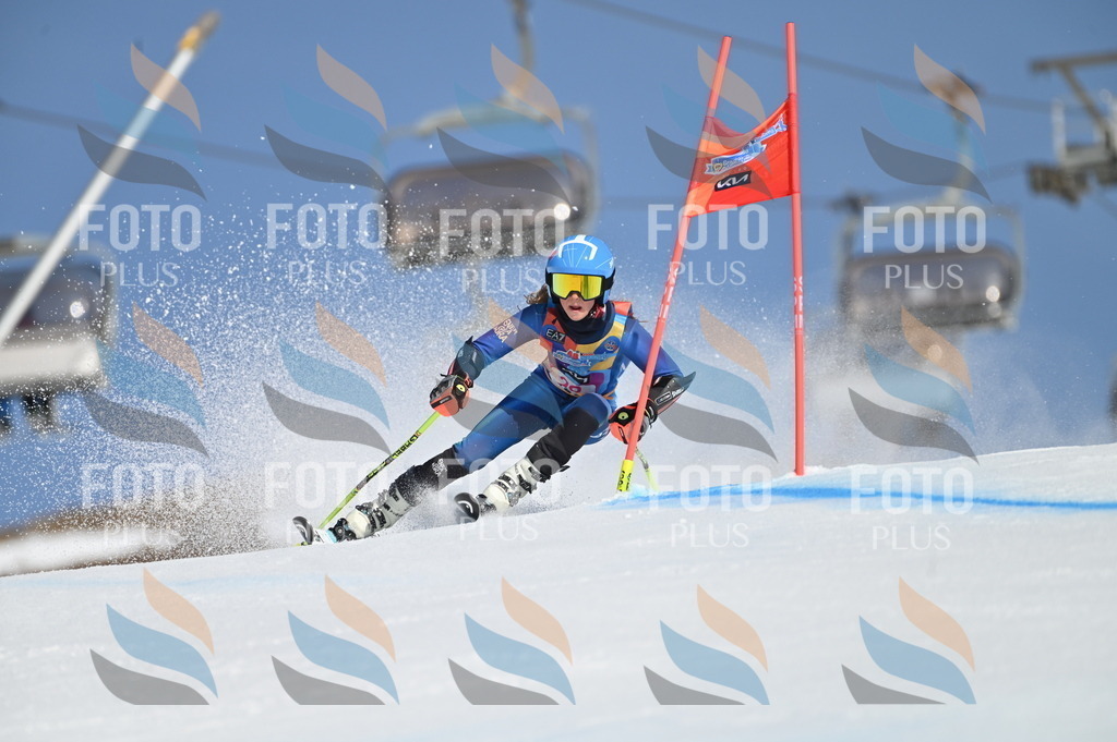 BGV_8102 | holidayphoto