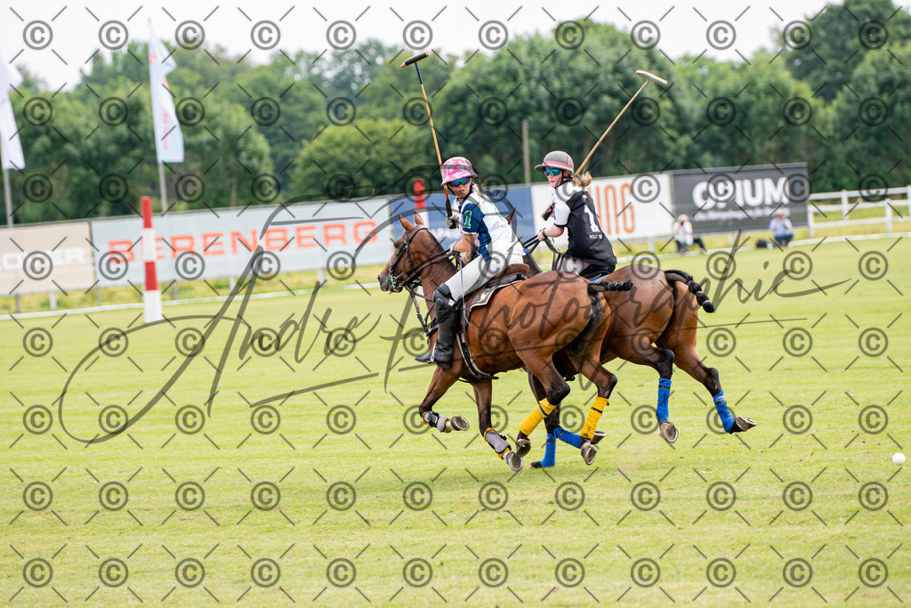 POL_3817 | andre_photographic