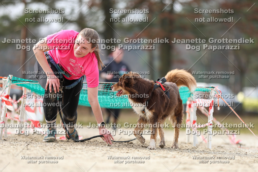Dog Paparazzi - Strongdog North Mrz26-5319 | Dog Paparazzi Jeanette Grottendiek Fotografie & Videografie - Realisiert mit Pictrs.com