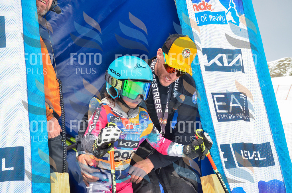 _ELE8081 | holidayphoto