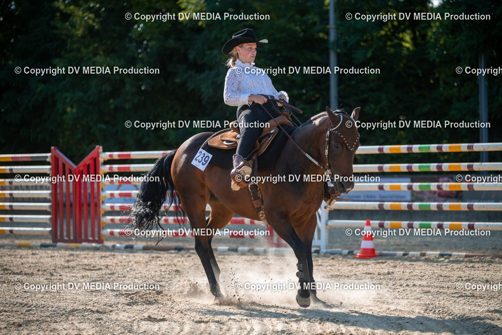 EWP_7080 | dv-media-shop - Realisiert mit Pictrs.com