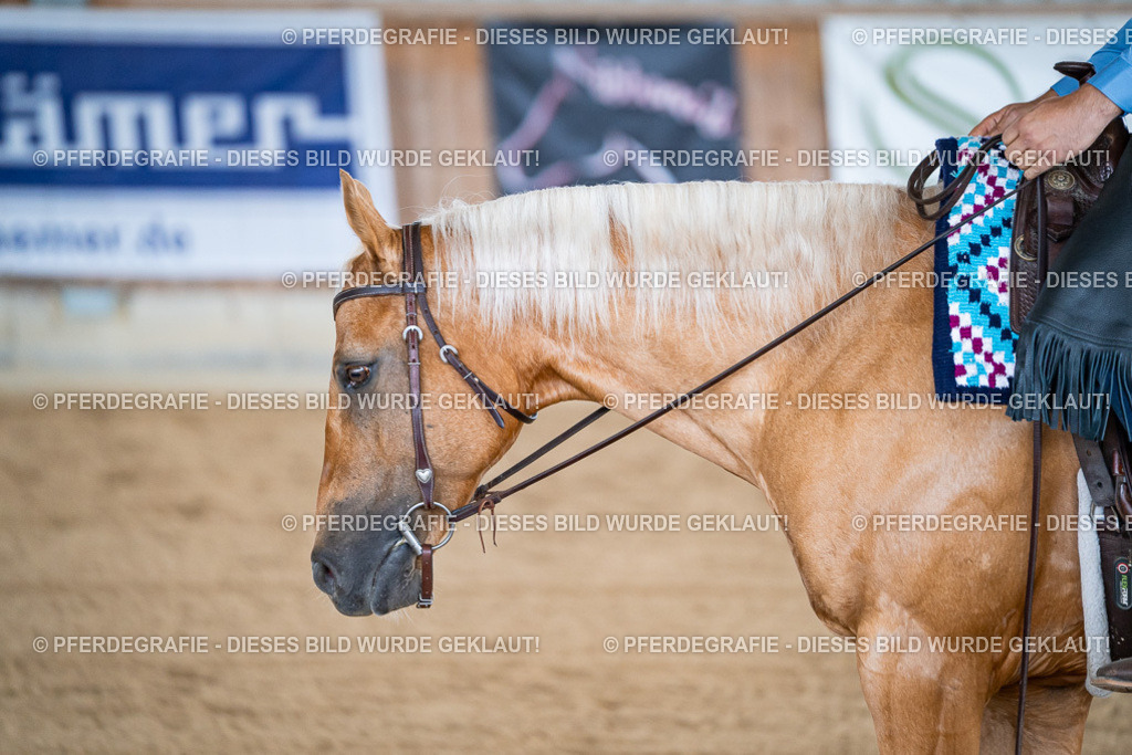 DSC08839 | Pferdegrafie