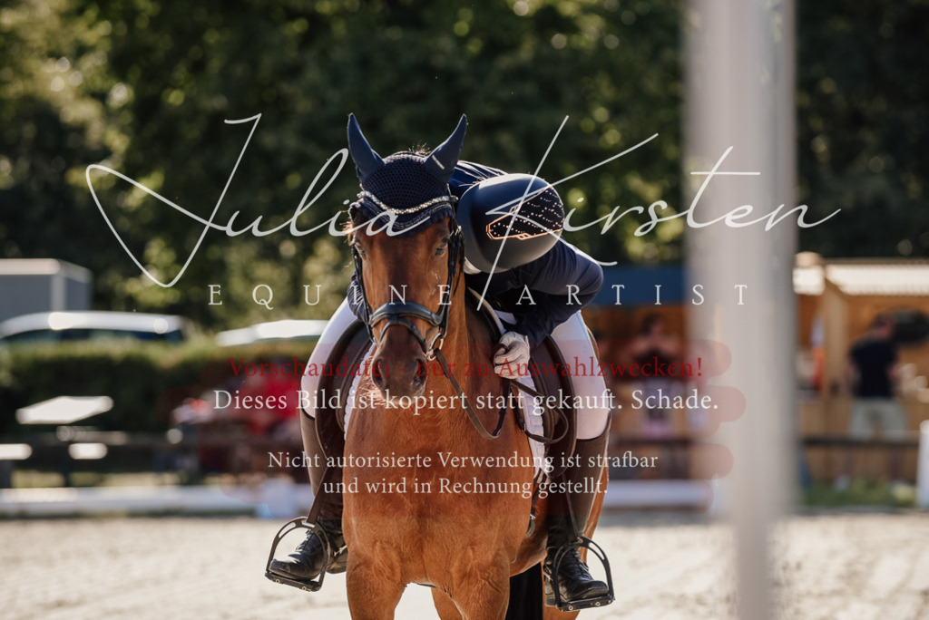 DSC_0284 | Pferde- und Turnierfotografie in Westsachsen. Pferdeportraits, Auftragszeichnungen und intuitive Kunst.