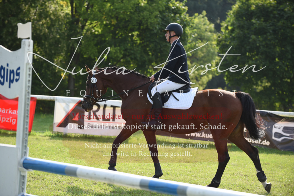 DSC_8729 | Pferde- und Turnierfotografie in Westsachsen. Pferdeportraits, Auftragszeichnungen und intuitive Kunst.