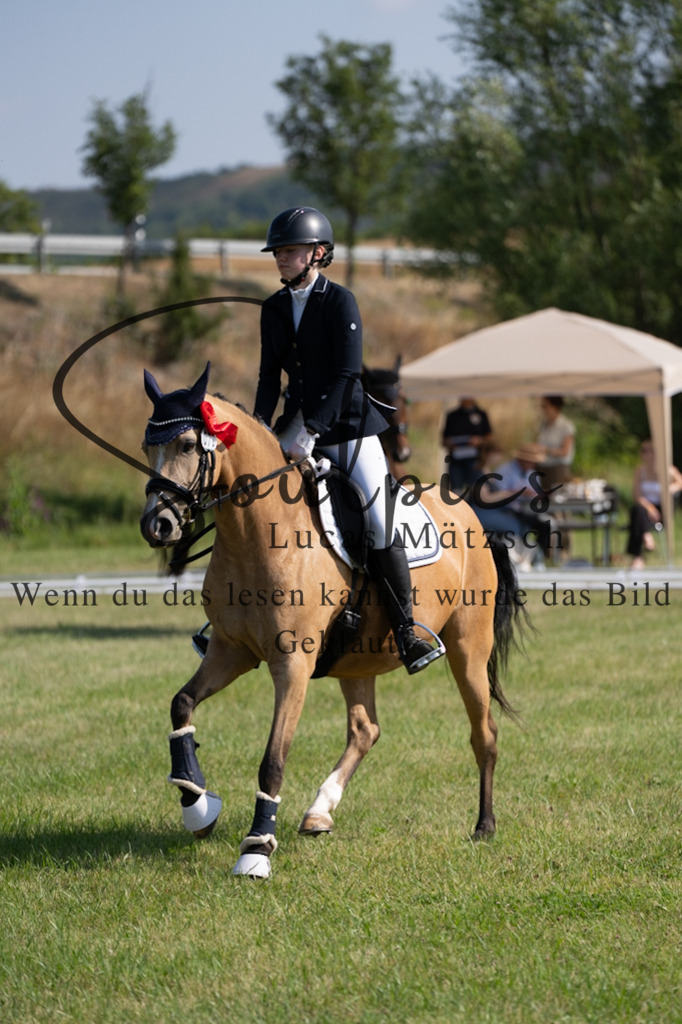 A7V09546 | Pferdefotograf