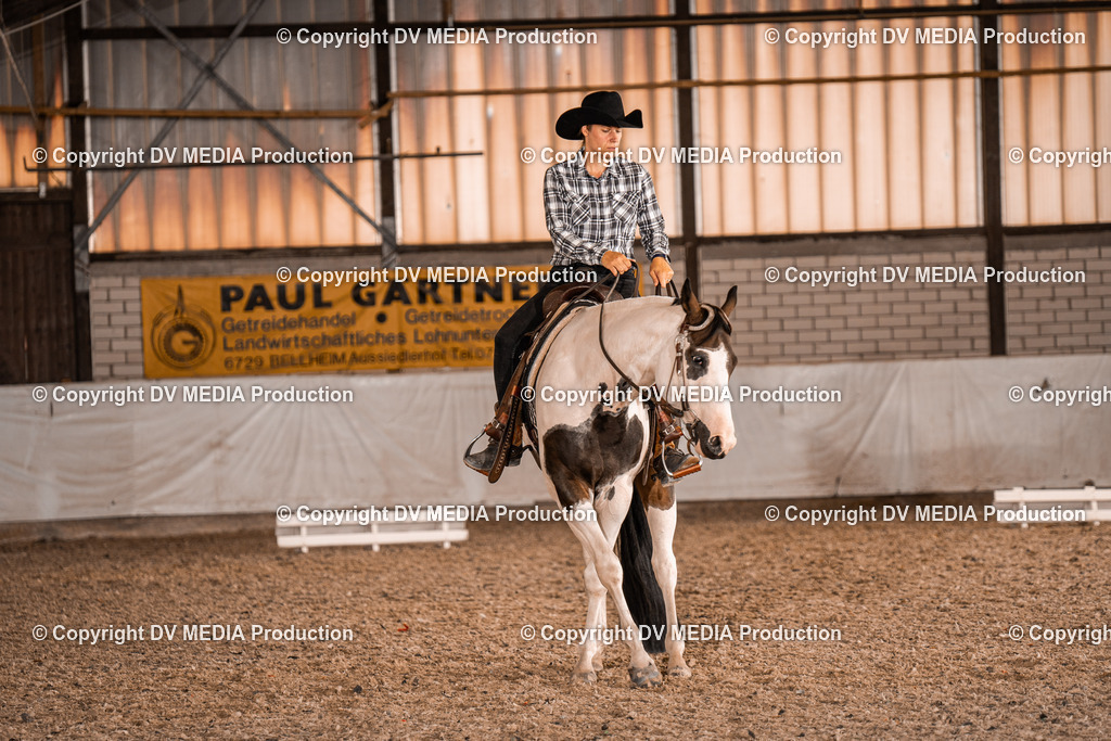 ZH100412 | dv-media-shop - Realisiert mit Pictrs.com