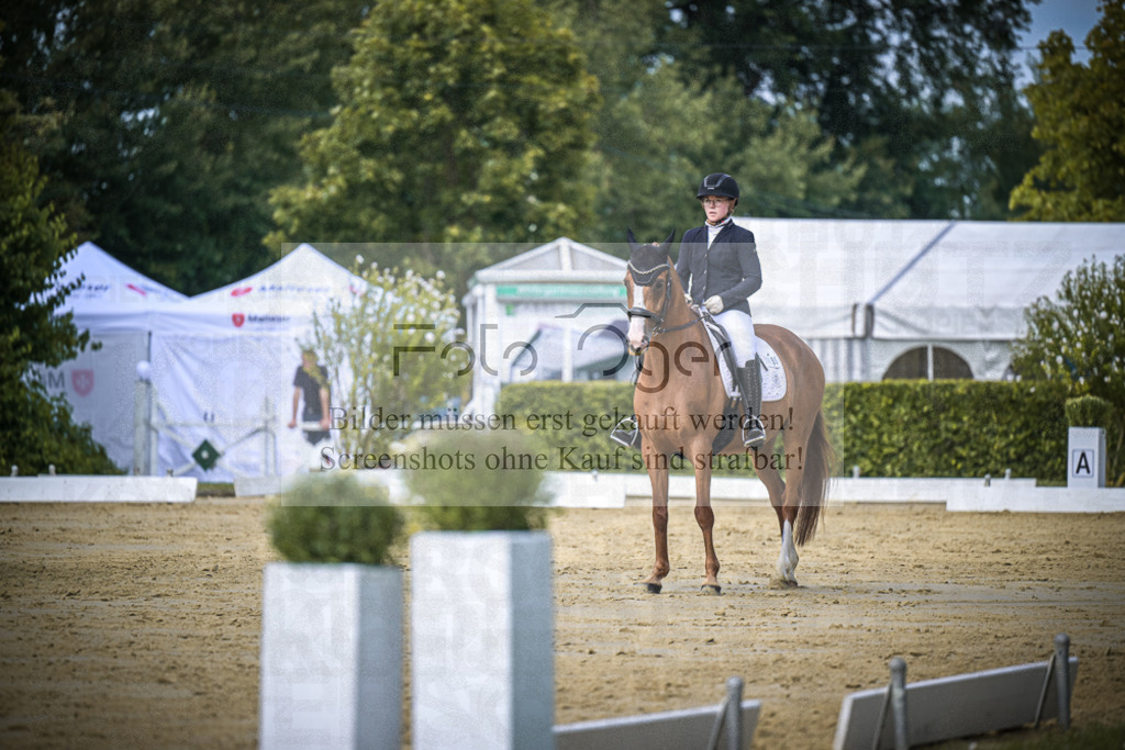 DOS_5295 | Entdecke hochwertige Reitturnierfotos von Foto Oger. Professionell, emotional und authentisch – jetzt Lieblingsmomente im Shop bestellen.Deutschlandweite Turnierfotografie. - Realisiert mit Pictrs.com