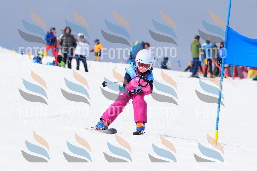 A3570 | holidayphoto