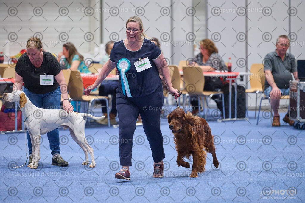 202406_ÖKV-IHA-Tulln24_DSC_3132 | proPHOTO - Realisiert mit Pictrs.com