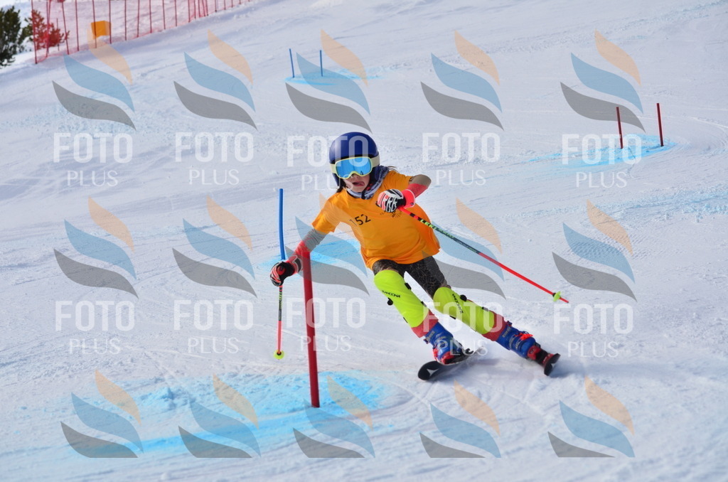 C7775 | holidayphoto