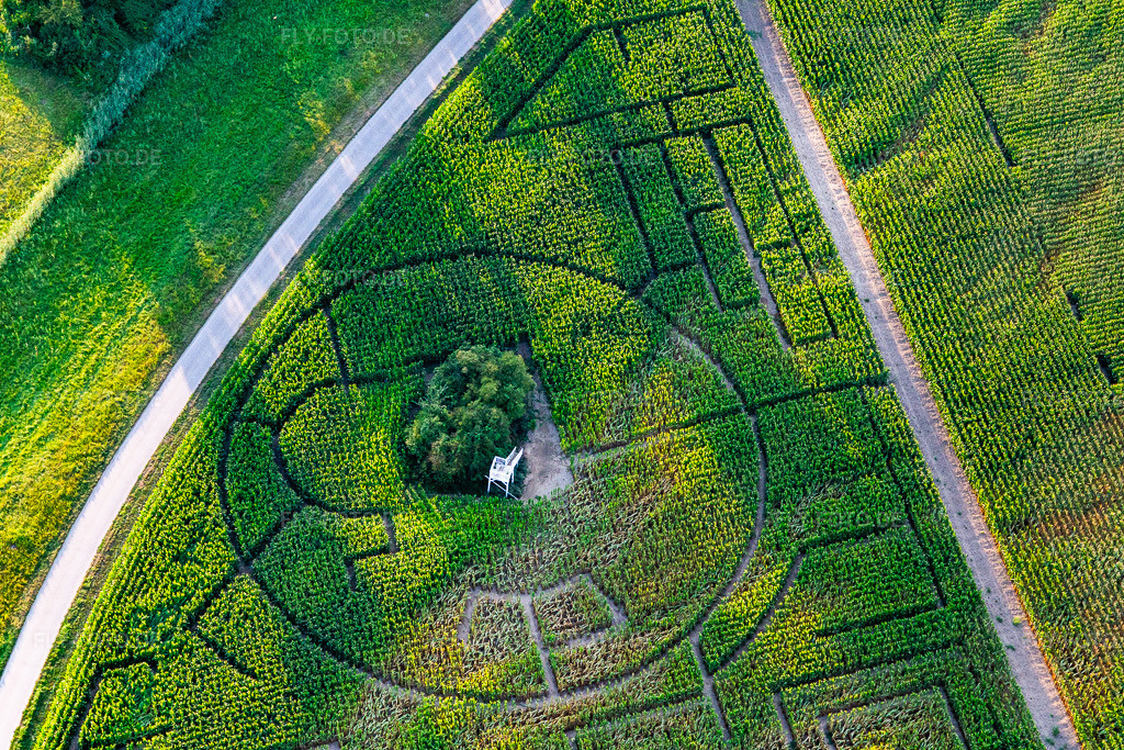 Luftbild: Irrgarten - Maislabyrinth bei Hofcafee Onkel Oskar der Bolz Landhandel GmbH auf einem Feld im Ortsteil Rußheim in Dettenheim im Bundesland Baden-Württemberg in Deutschland. Foto: IMG_122297.jpg vom 15.08.2020 durch Werner Riehm/FLY-FOTO.de