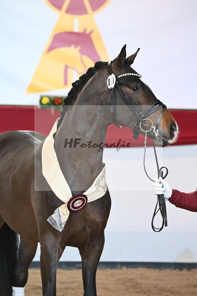 Kat.-Nr. 71 v. Va Bene_Müller_2242657 | hf-fotografie - Realisiert mit Pictrs.com