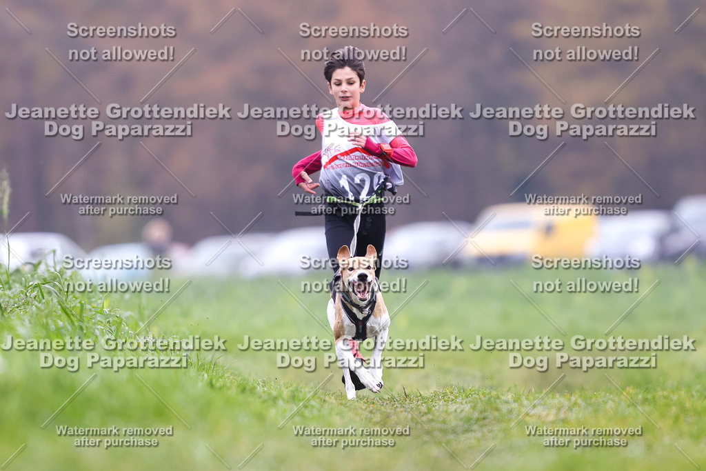 Dog Paparazzi - Visbeck 25 -333 | Dog Paparazzi Jeanette Grottendiek Fotografie & Videografie - Realisiert mit Pictrs.com