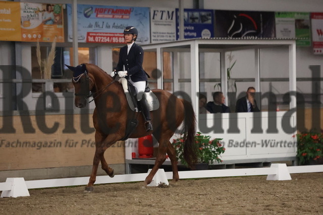 Waghäusel-Wiesental_2024_Prfg.Nr.08_1.WP_U25_sabine Schmidt_Quickstepp II (9) | Alle Fotos der Reiterjournal Fotografin Doris Matthaes im Reiterjournal Online-Fotoshop. - Realisiert mit Pictrs.com