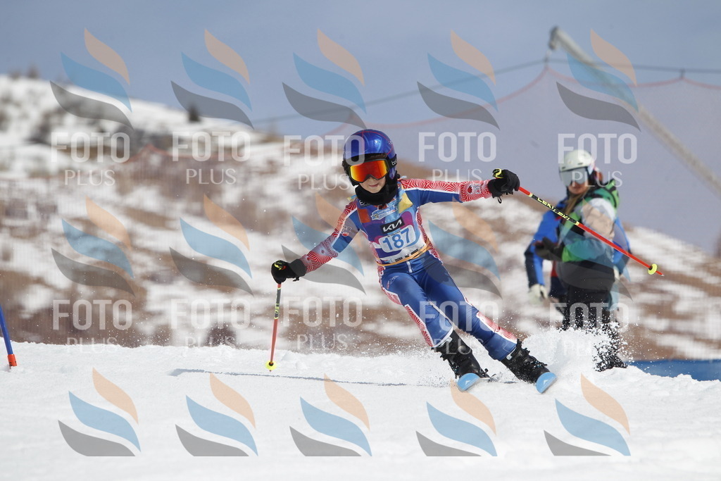 _U3G1842 | holidayphoto