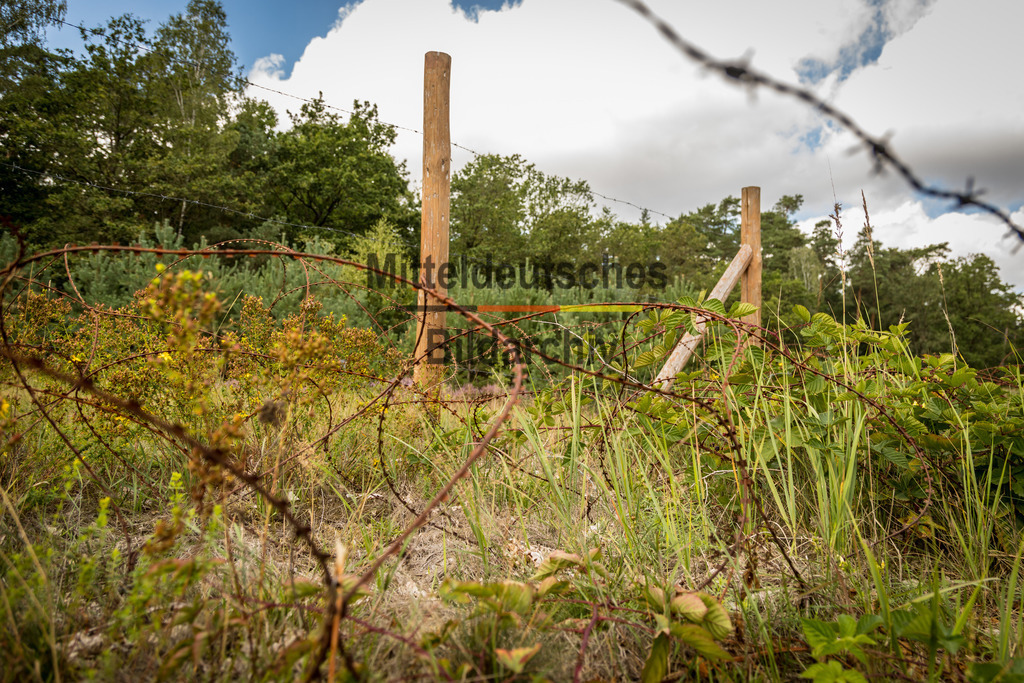 innerdeutsche Grenze Grünes Band Böckwitz-7944 | Die innerdeutsche deutsch-deutsche Grenze, das Grüne Band - Realisiert mit Pictrs.com