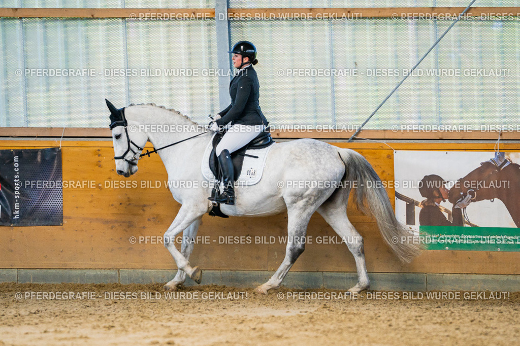 DSC06238 | Pferdegrafie